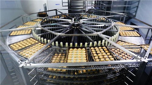 甩開歷史包袱，走好三條路 稻香村集團以技術開發(fā)引領高質量發(fā)展