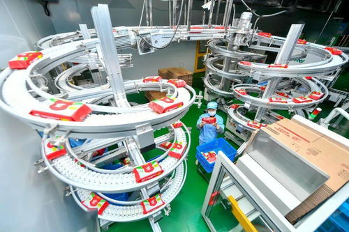 聚焦中小企業(yè)紓困幫扶 優(yōu)化財(cái)稅法治環(huán)境與技術(shù)開發(fā)雙輪驅(qū)動