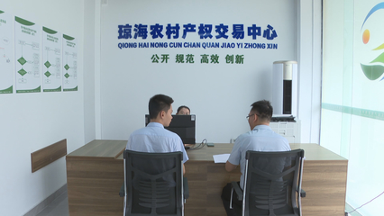 瓊海市農(nóng)村產(chǎn)權(quán)交易服務(wù)中心揭牌成立，控股公司助力鄉(xiāng)村振興